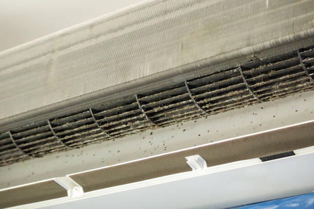Best Air Duct Cleaning Cost  in Portsmouth, OH